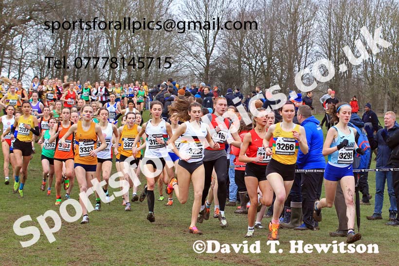 Womens Under-20s 2023 UK CAU Inter Counties Cross Country Champs, Prestwold Hall, Loughborough. Photo: David T. Hewitson/Sports for All Pics